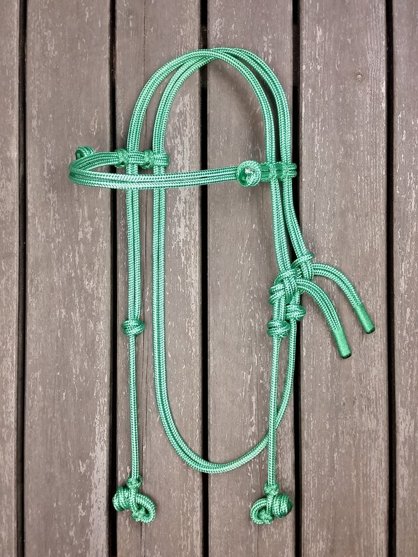 Rope bridle with rope halter tying Pilgrimsrep