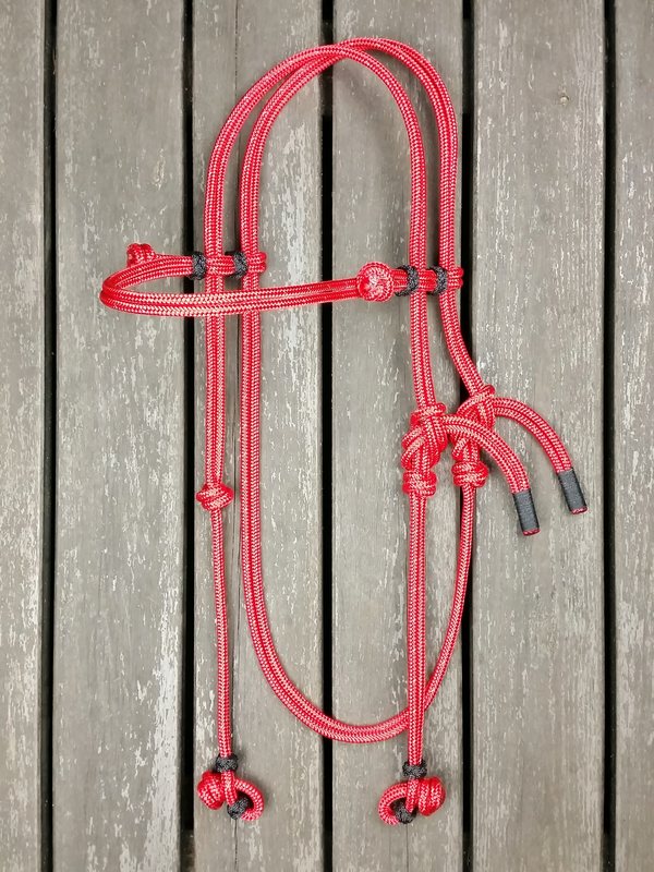 Rope bridle with rope halter tying Pilgrimsrep